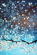 Cherry Blossom 6