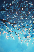 Cherry Blossom 4.