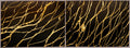 Endless Possibilities VIII.