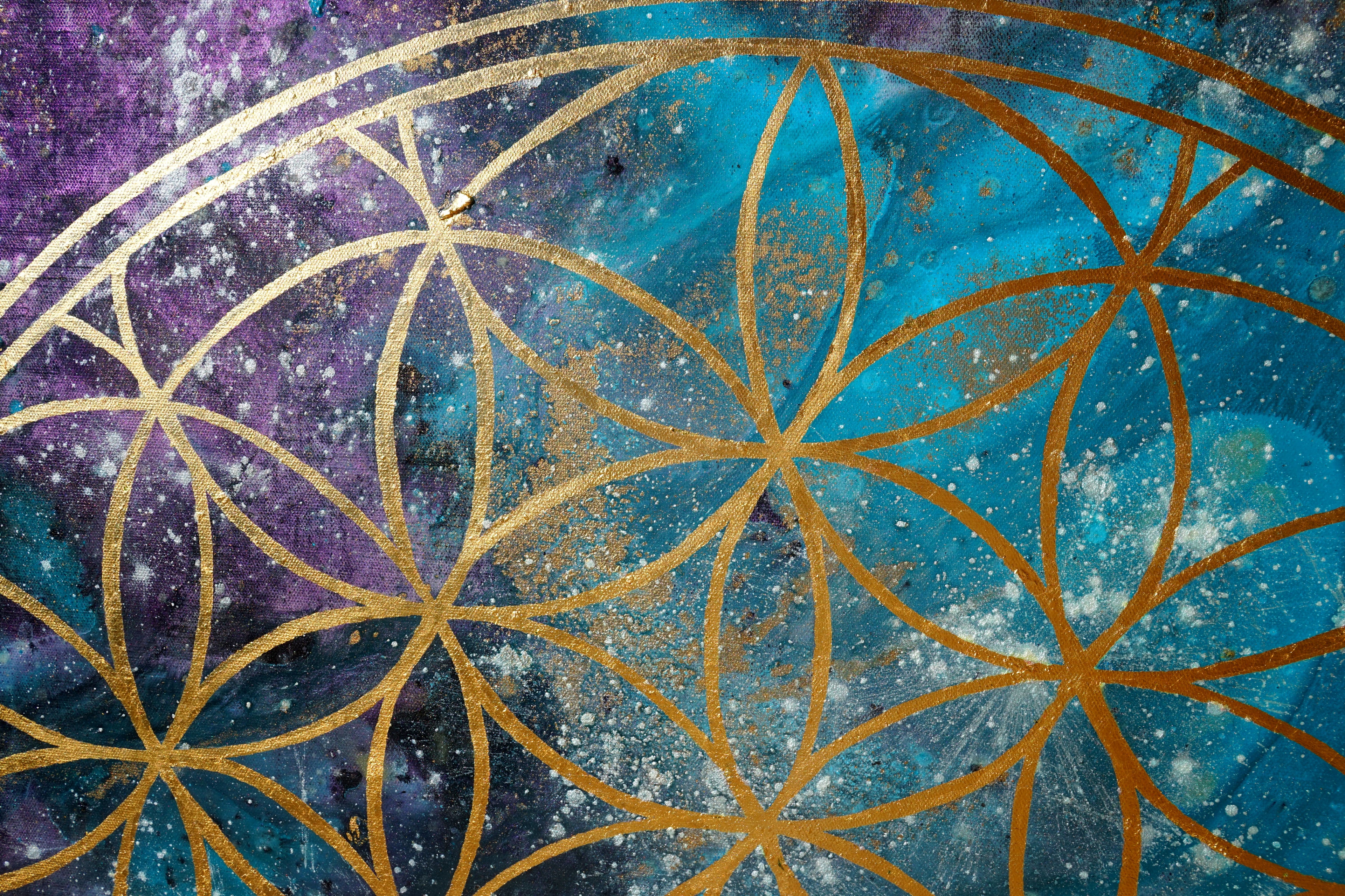Flower of Life VI.