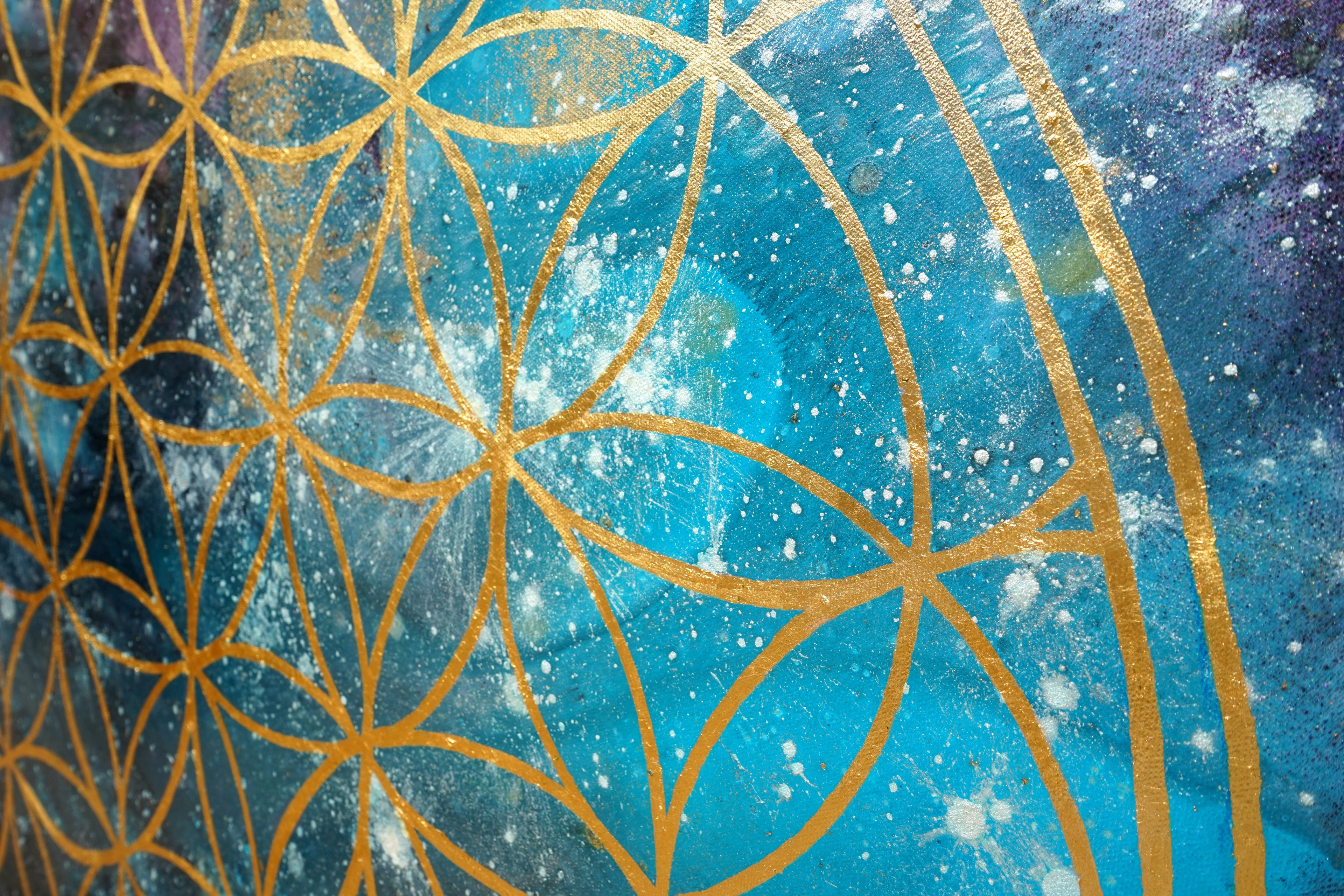 Flower of Life VI.