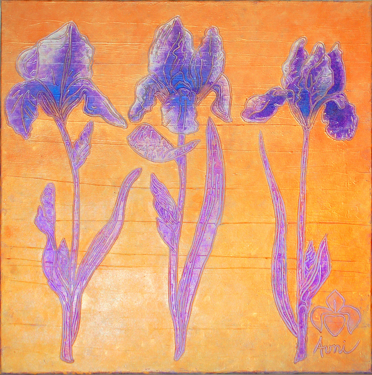 Iris