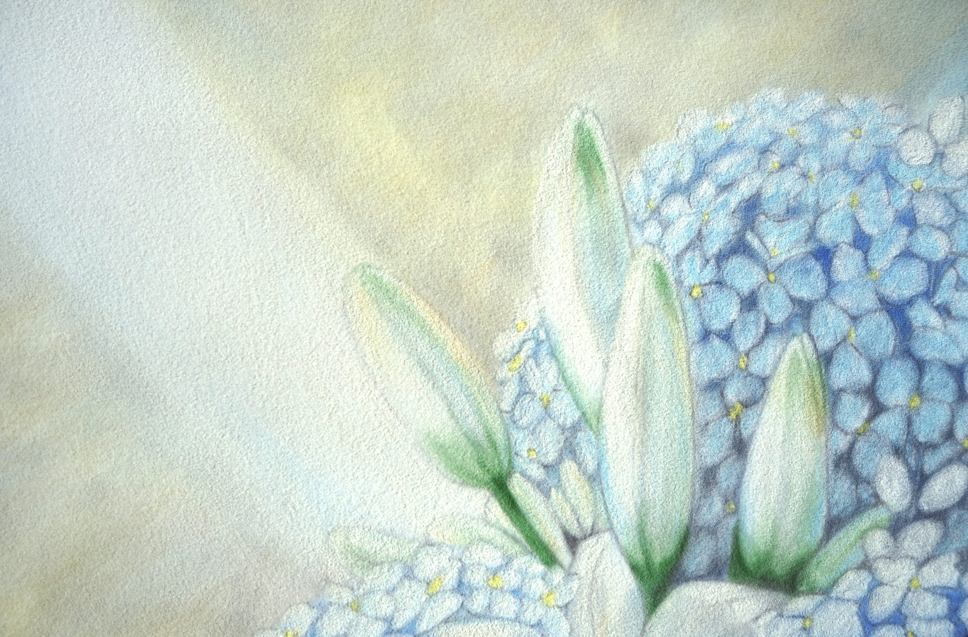 Les Fleurs 2.