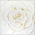 Little White Rose with a Touch of Gold III. (3I25)